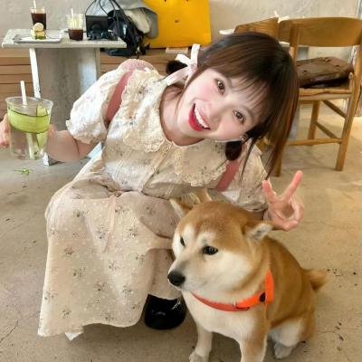 探查医秘